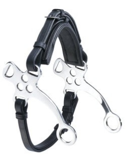 Hackamore Eric Thomas Inox