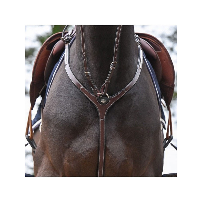 Martingale De Course En Cuir Marron - Taille Cob - Neuve