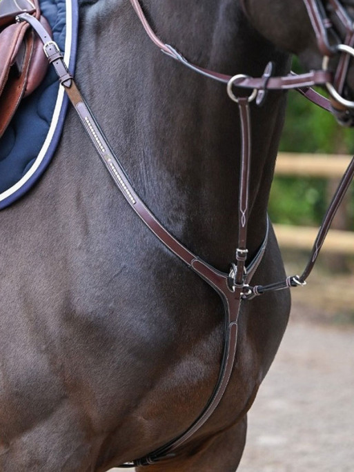 Collier de chasse Clincher et martingale Collection One Premium Jump'In