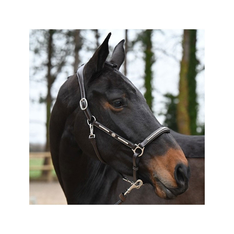 Jump In One Premium Clincher Black Leather Halter main image 0