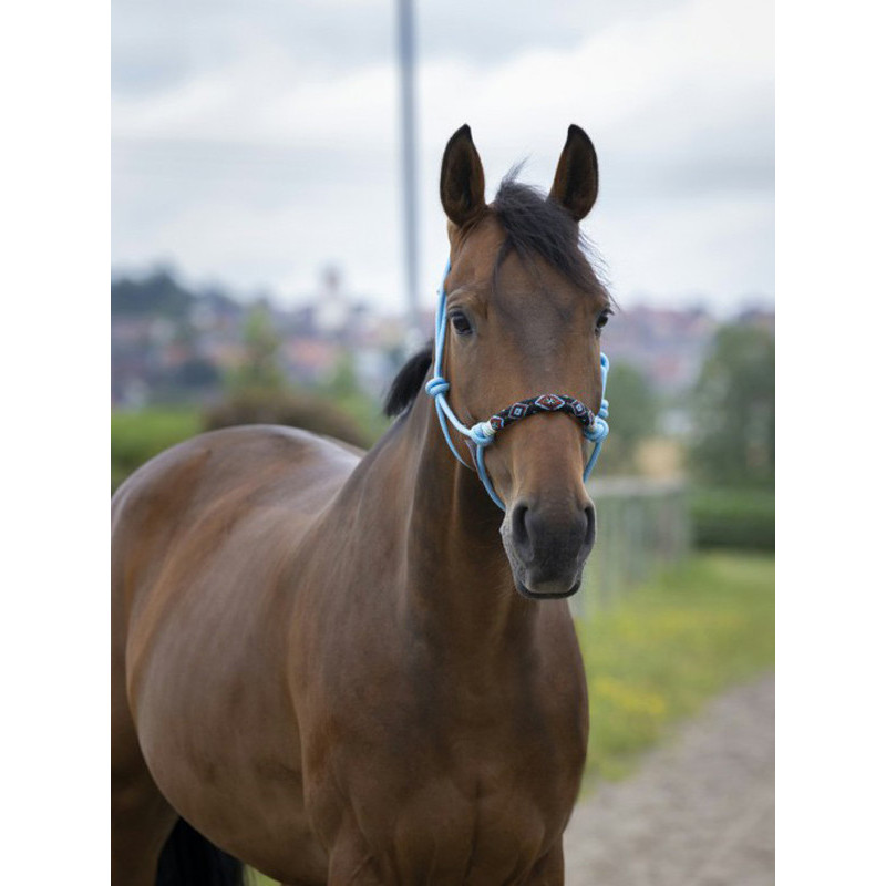 Norton Licol Fluo Lined, Orange, Size Equivamento Cavallo