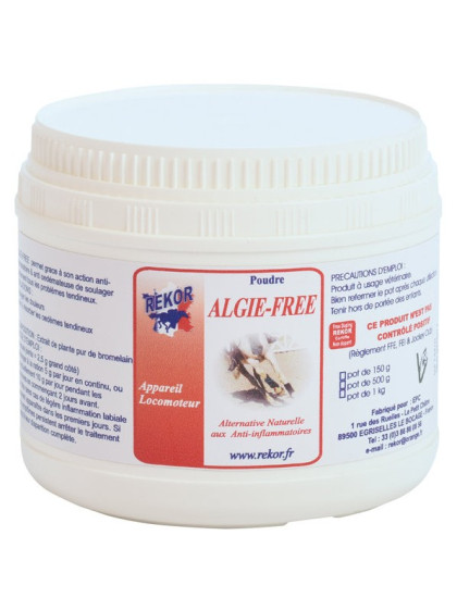 Algie free Rekor