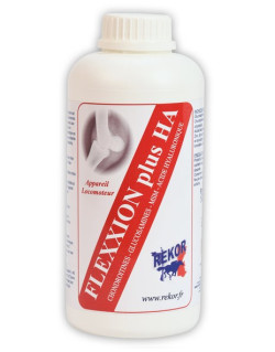 Flexxion + H.A. Rekor