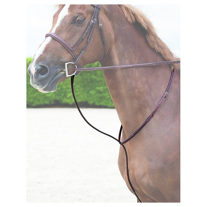 Martingale fixe Dy'on (Hunter collection)