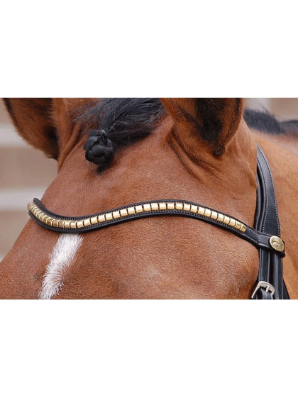 Frontal V Clincher "Dressage Collection" Dy'on