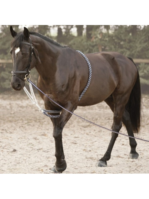 Enrênement Canter Soft Rope