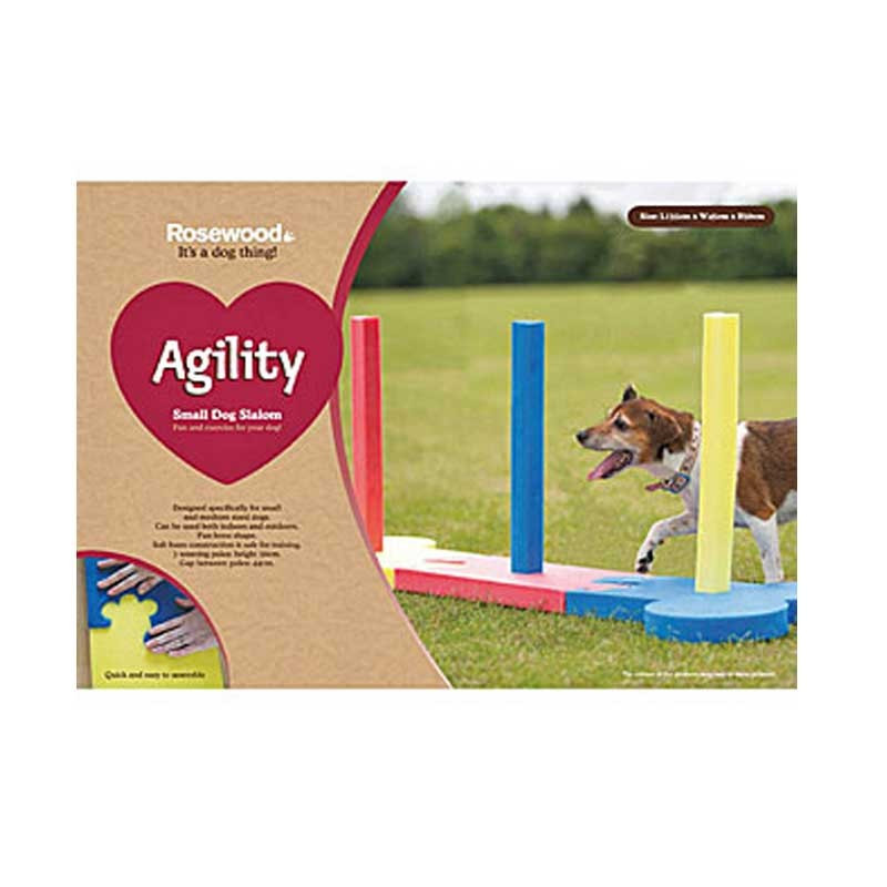 Agility - Equipement et activité pour le chien