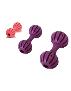 Jouet Busy Buddy Waggle - Rose