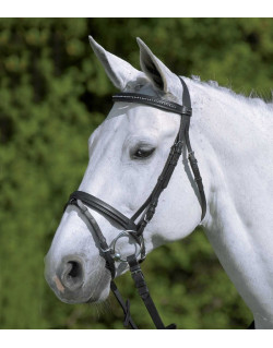 Bridon Star Diamond Waldhausen