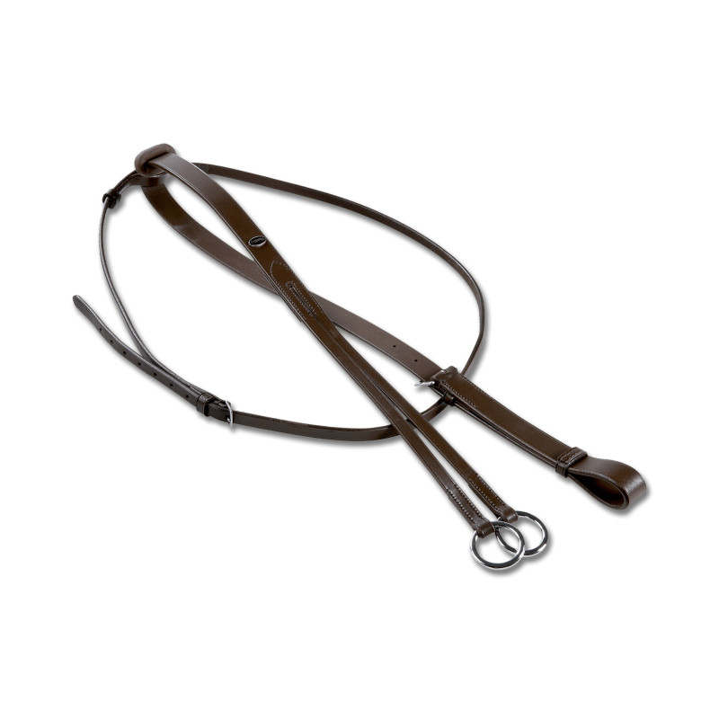 Martingale Lexington Austin | Martingales