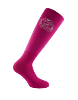 Chaussettes Favouritas HV Polo