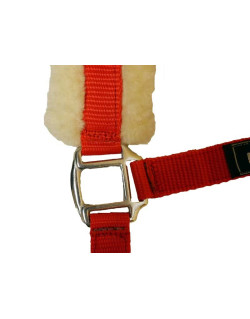 Licol en mouton Stocklot HKM