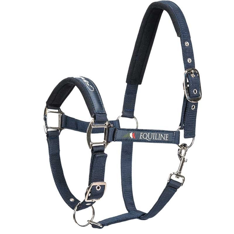 Licol En Pour Vache, équipement Pour Chevaux Large, Licol