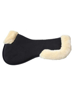 Amortisseur absorb mouton anatomique Kentucky