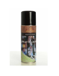 Boots Cleaner Kentucky