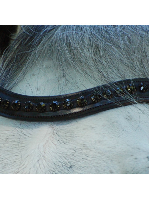 Frontal Dressage "Black" Dy'on Dressage collection