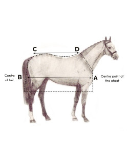 Couverture cheval Horseware Amigo Bravo 12 Original