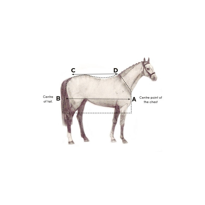Couverture séchante intégrale cheval Amigo All-In-One Jersey Cooler Horseware