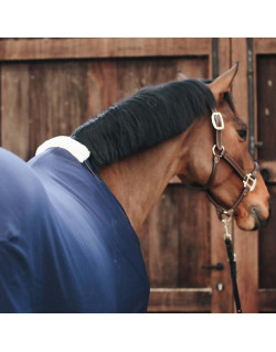 Chemise séchante Polaire Kentucky