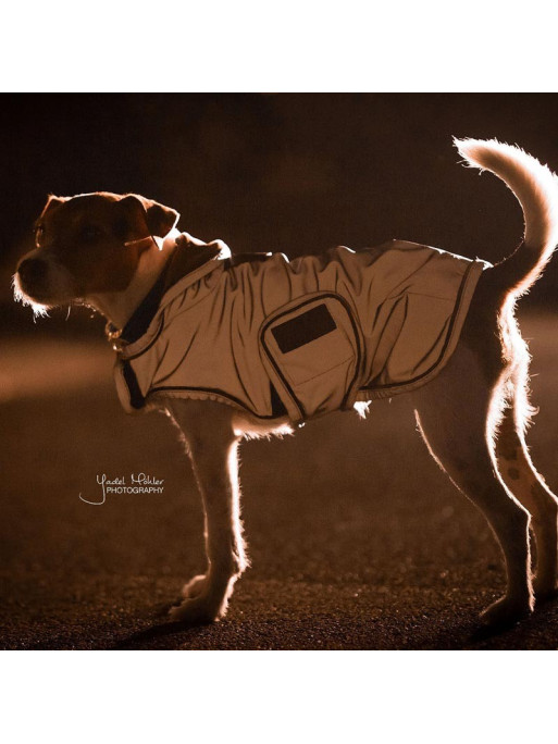 Couverture chien impermeable best sale