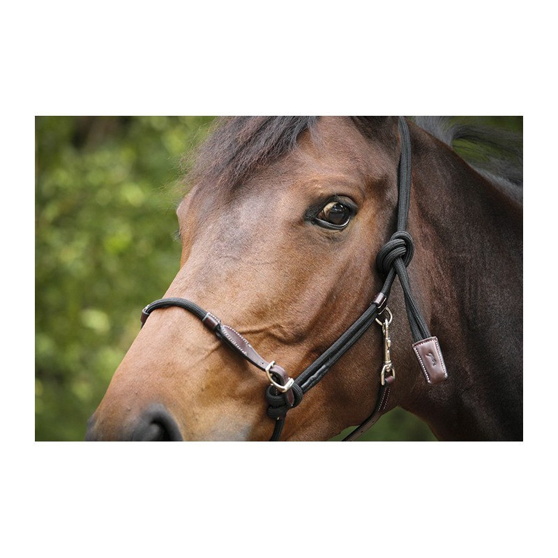 Cwell Equine Licol Rembourré Hybride Cuir Et Corde De Luxe Noir Licol Poney Cob Quotidien Cwell Equine Licol Rembourré Hybride Cuir Et Corde De Luxe Noir Licol Poney Cob Quotidien