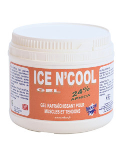 Ice n'cool gel rekor