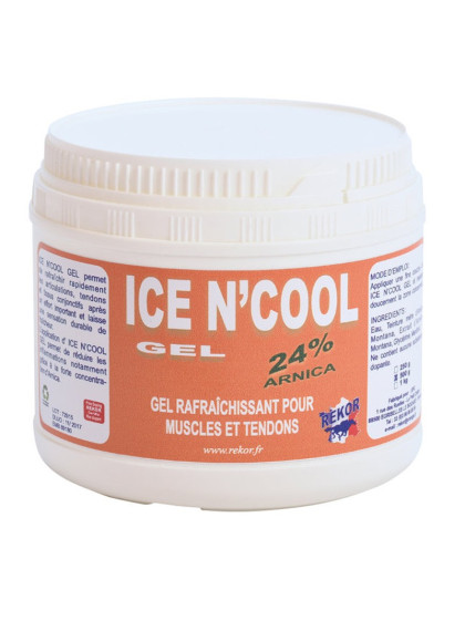 Ice n'cool gel rekor