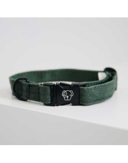 Collier pour chien Lizard Kentucky