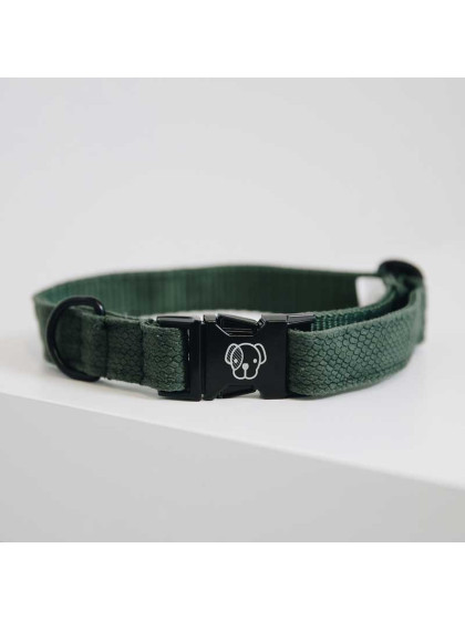 Collier pour chien Lizard Kentucky