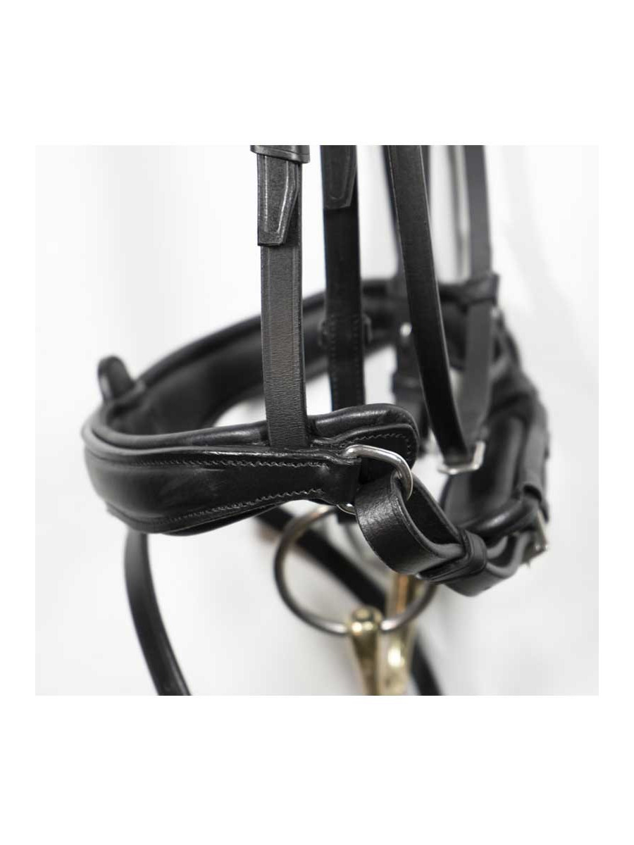 Double Bride Antares Sellier – Taille Cob – Cuir Français – Modèle D’expo