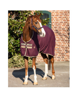 Chemise Amigo Stable Sheet Horseware