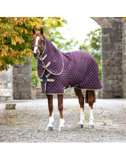 Couverture Amigo Stable Plus Medium Front Disc Horseware