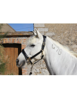 Licol en cuir Baya Duo Protanner