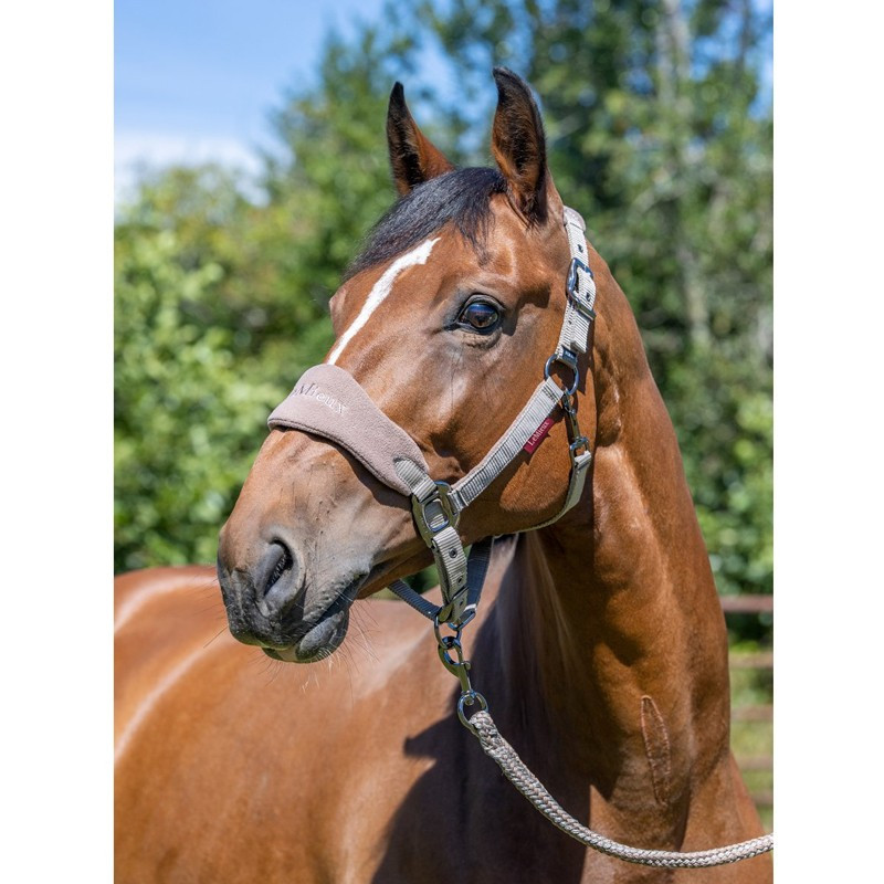 Lemieux Licol & Longe Vogue Headcollar & Leadrope (Violet) | Privatesp