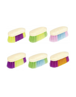 Brosse dure multicolore 15x6 HKM