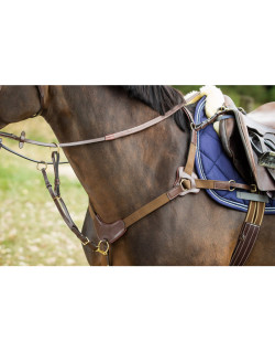 Collier de chasse 5 points HFI