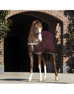 Couverture nid d'abeilles Amigo Net Cooler rem X Sur Horseware