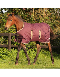 Couverture poulain Amigo Foal Rug Ripstop Horseware