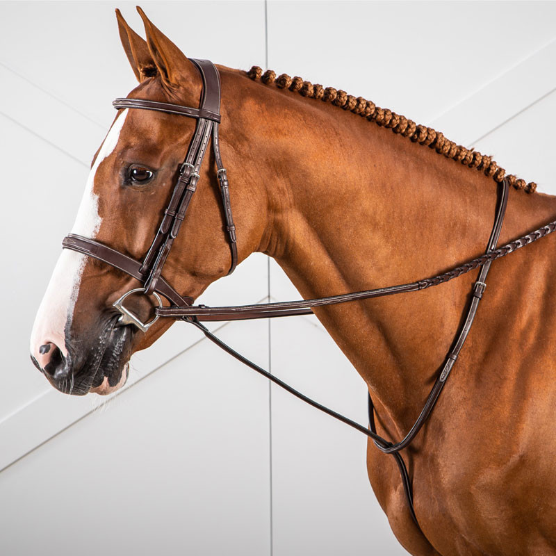 Martingale fixe "Hunter Collection" Dy'on enrênement cheval