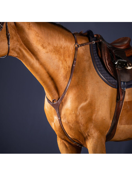 Collier de chasse Dy'on New English Collection + martingale