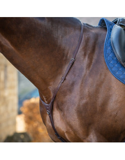Collier Yoke Dy'on New English collection