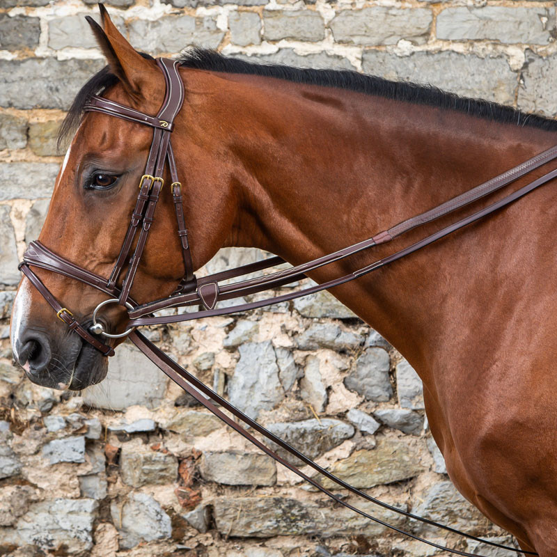 Rênes Fendues En Cuir Avec Pompons Crin De Cheval - Neuf, Marron, Pour équitation Western