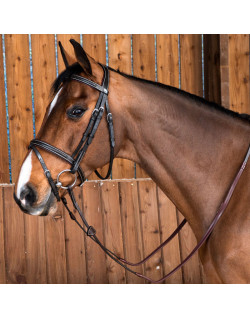 Bridon Classic muserolle combinée Dyon