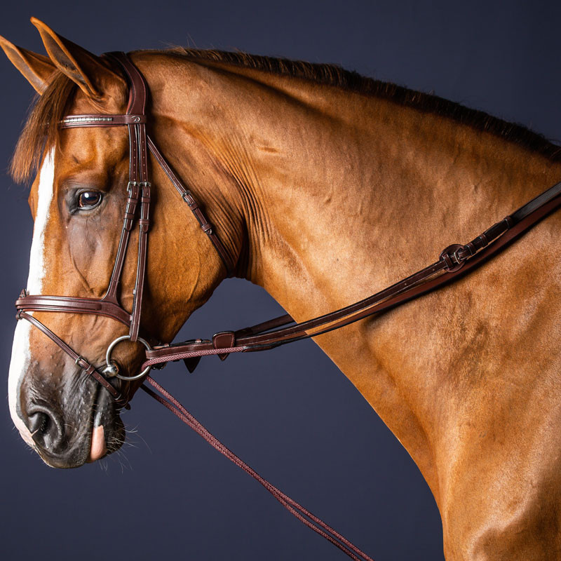 Exion Rênes de cheval anglais en cuir et caoutchouc surélevées cousues