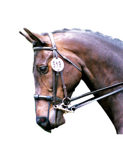 Protection de nez anti-encensement Equilibrium