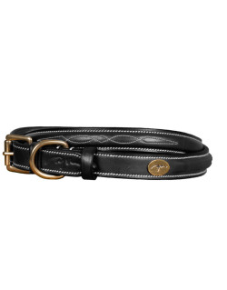 Collier pour chien avec Surpiqure Decorative Dy'on