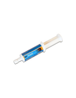Sirop Air Power 500ml Horse Master