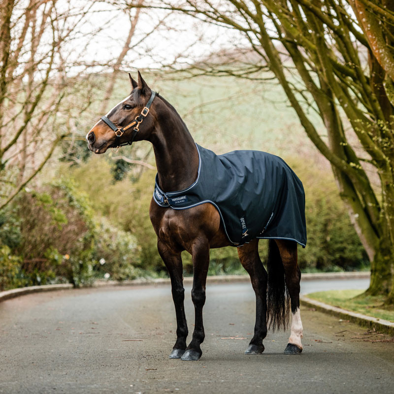 Chemise de marcheur Amigo Walker Horseware