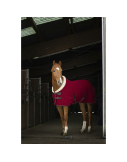 Couverture polaire Teddy Equithème