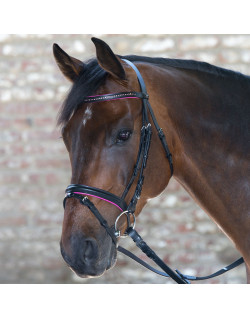 Bridon Star Diamond Waldhausen